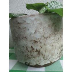 Vintage Bloempot Retro
