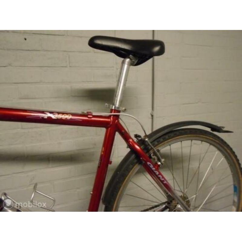 Giant HYBRIDE 55 CM