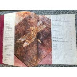 Silk paper for textile artists (Sara Lawrence)
