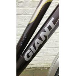 Giant Energy DX damesfiets 28/50 7 versnellingen.