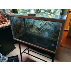 Mooie 80cm aquarium