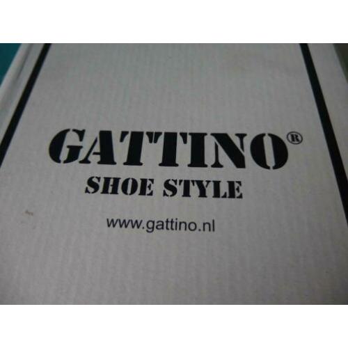 Gattino maat 33