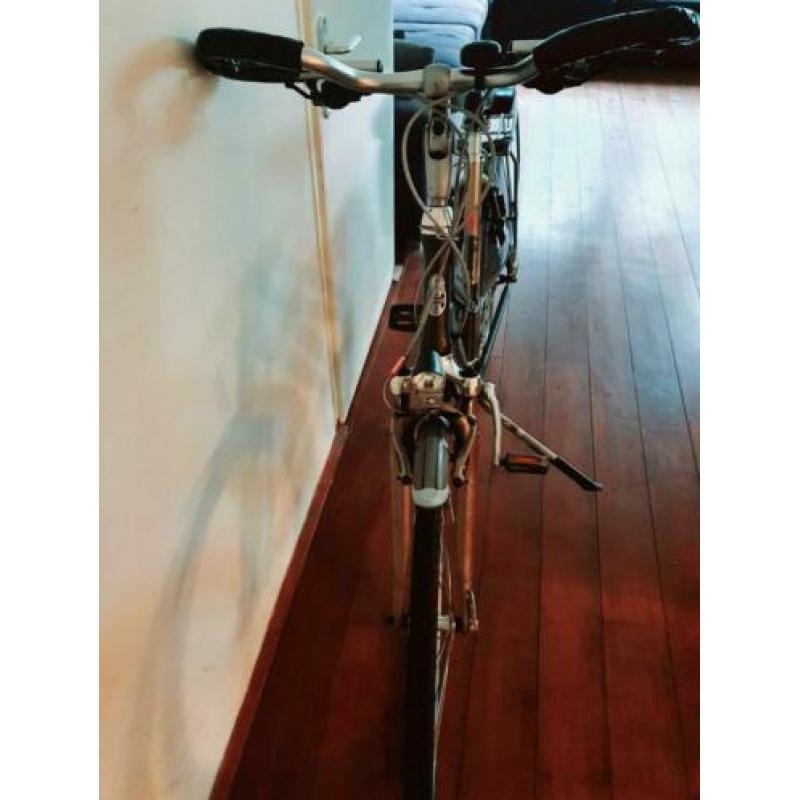 Te koop gazelle Medeo