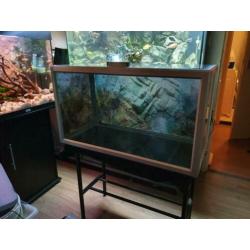 Mooie 80cm aquarium