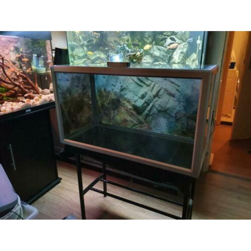 Mooie 80cm aquarium