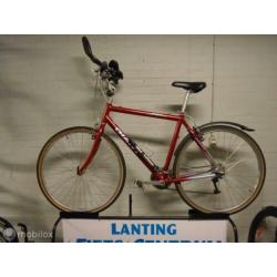 Giant HYBRIDE 55 CM