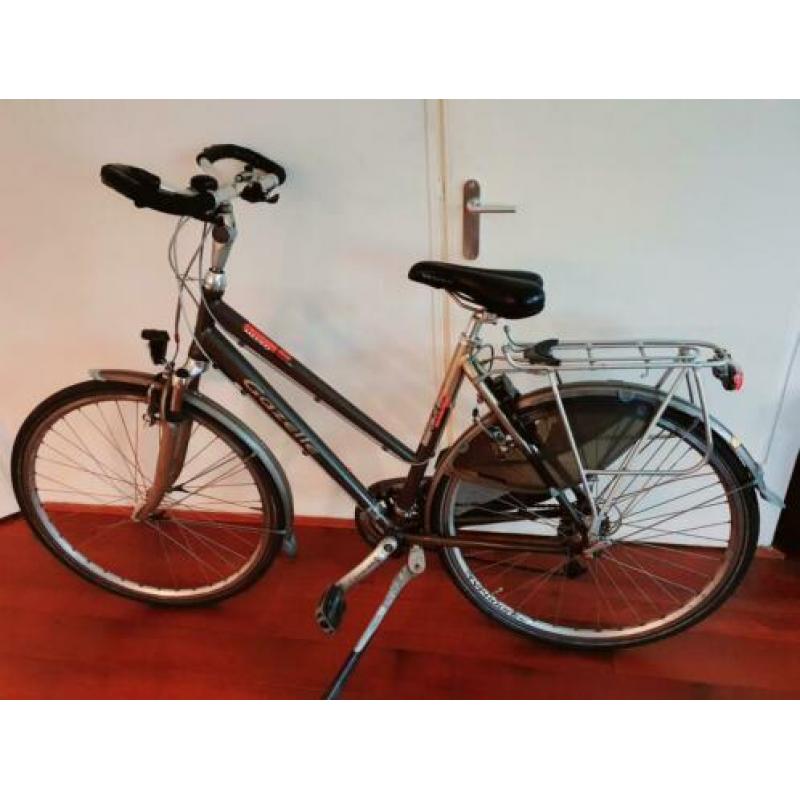 Te koop gazelle Medeo