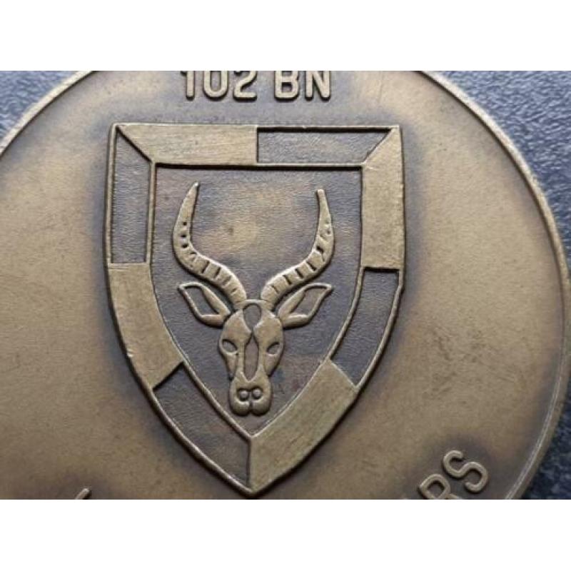 penning 102 BN Jare 10 Years / 49 gram / brons