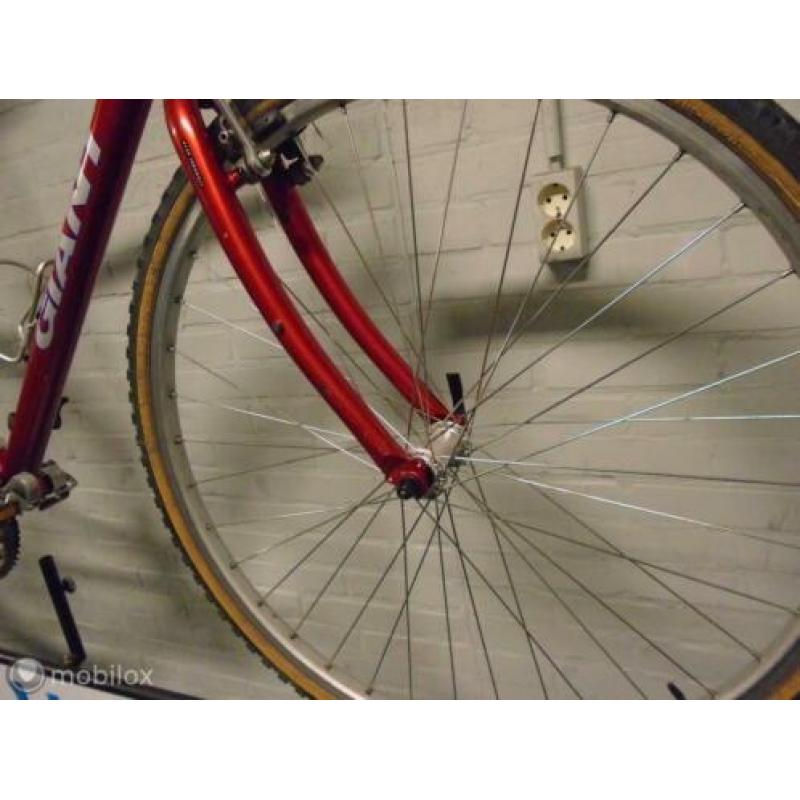 Giant HYBRIDE 55 CM
