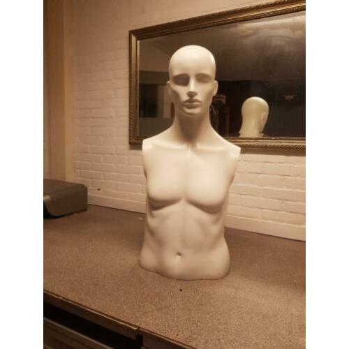 etalagepop/paspop/buste/torso