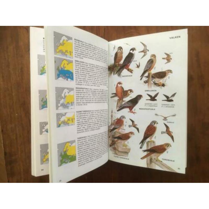 Europese vogelgids