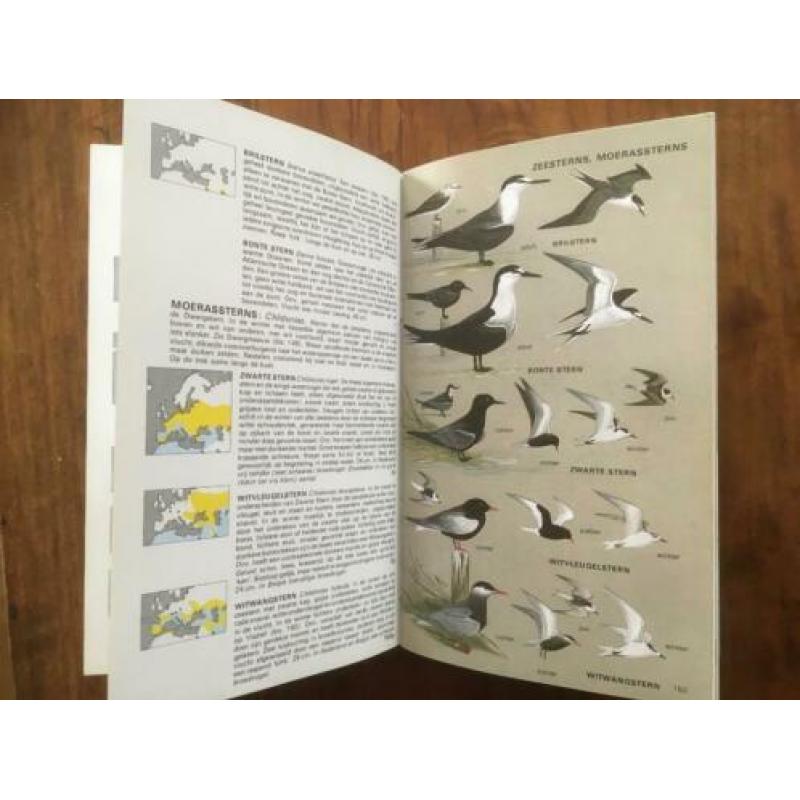 Europese vogelgids