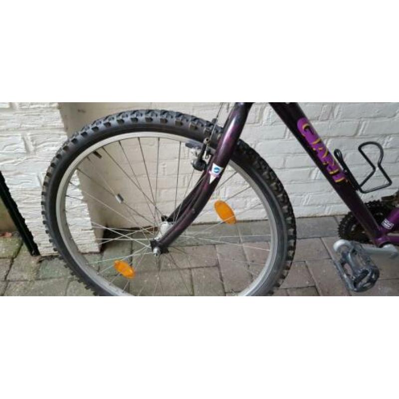 Mountainbike