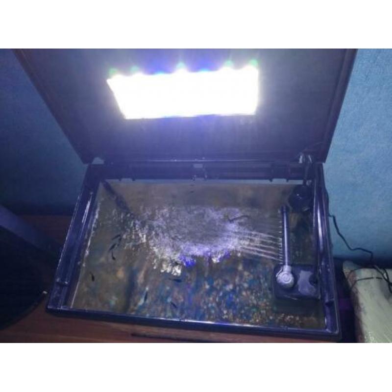 Kleine aquarium