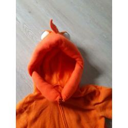goudvis / vis oranje /zeedier / onderwaterwereld