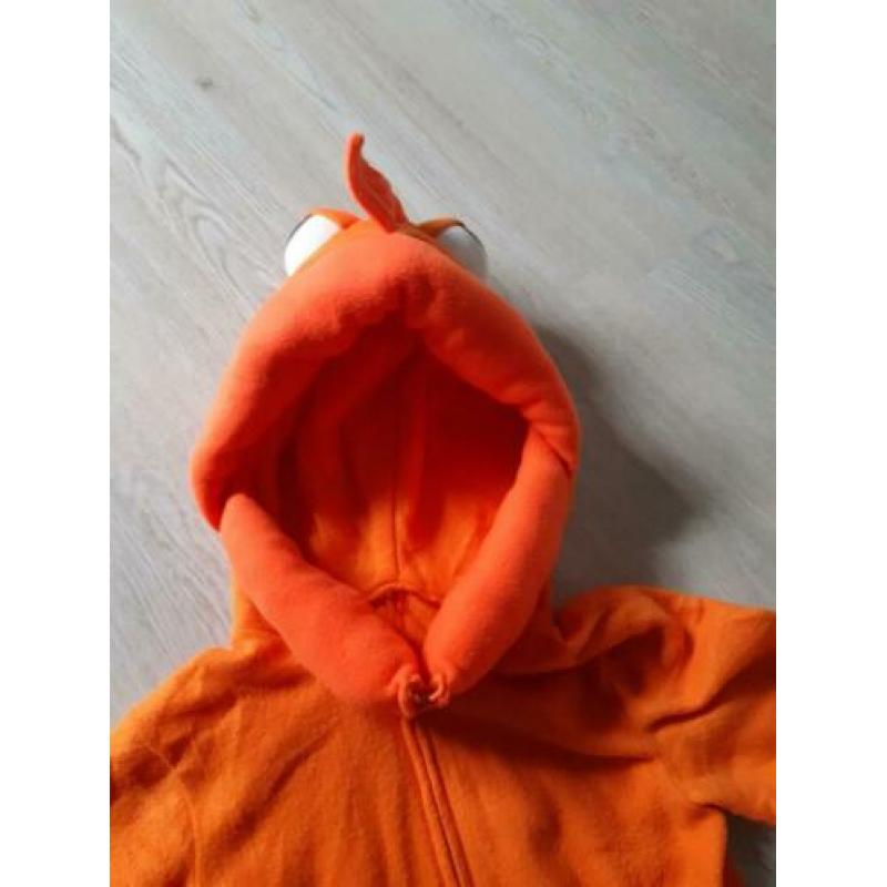 goudvis / vis oranje /zeedier / onderwaterwereld