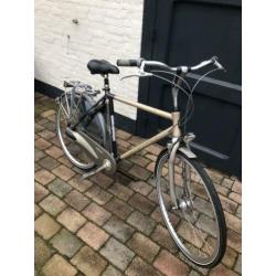 Batavus adagio