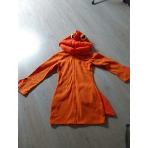 goudvis / vis oranje /zeedier / onderwaterwereld