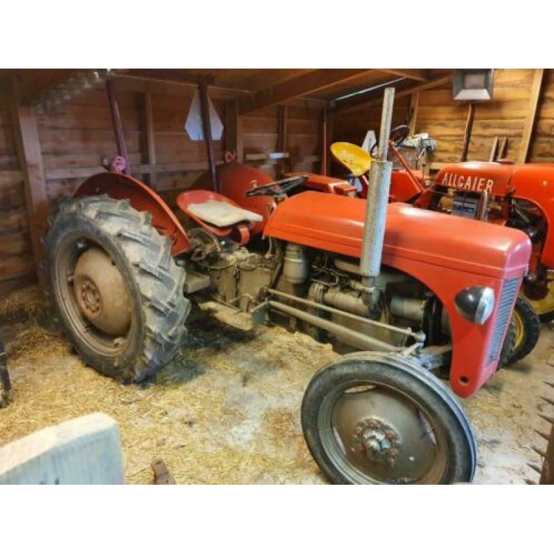 Massey ferguson tef