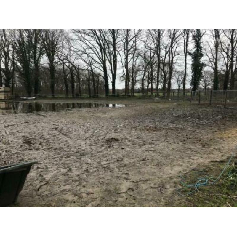 Stallen te huur met accomodatie
