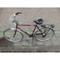 Mooie Giant Squadron 7 versnellingen rollerbrakes