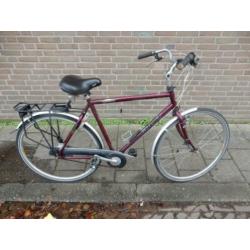 Mooie Giant Squadron 7 versnellingen rollerbrakes