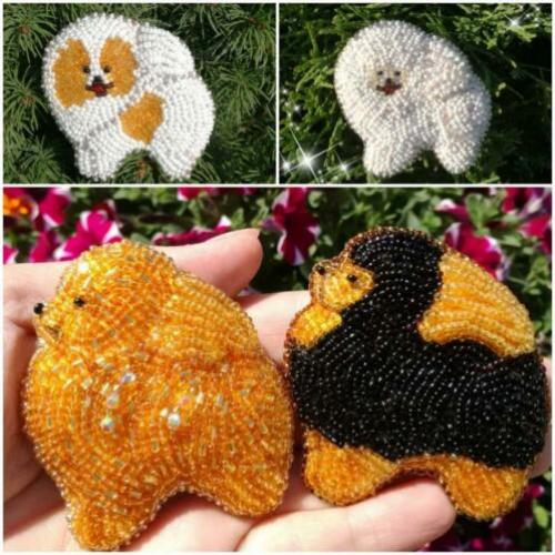 Echt Lederen Broche en kraaltjes