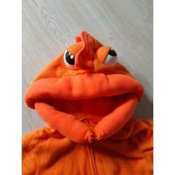 goudvis / vis oranje /zeedier / onderwaterwereld
