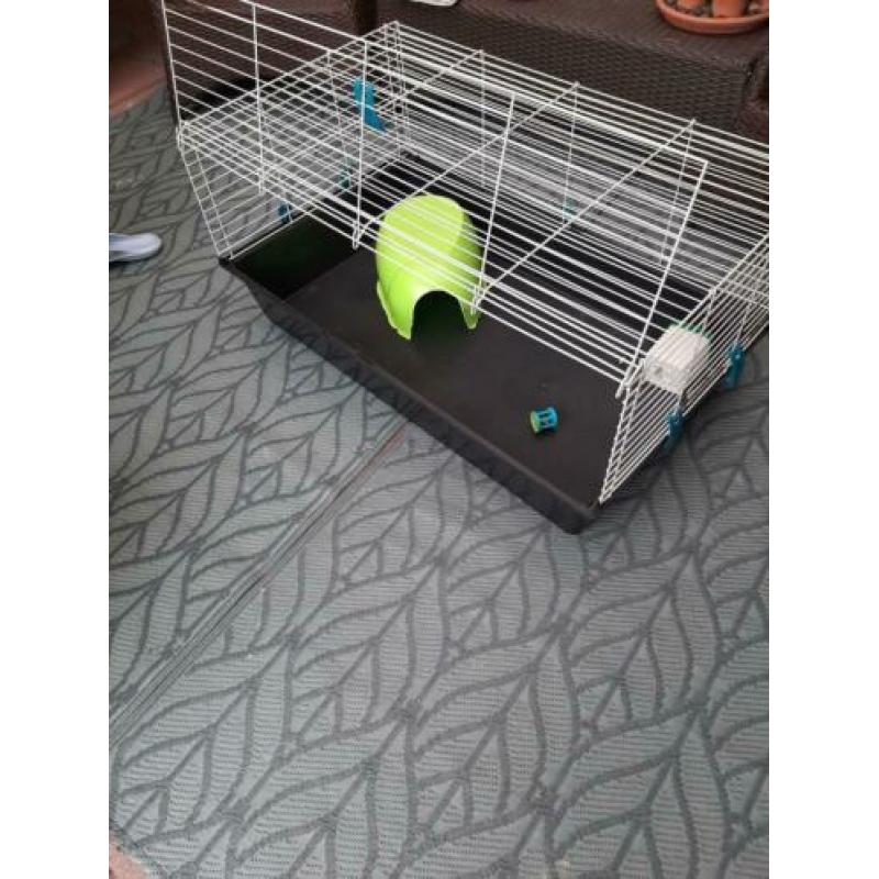 Knaagdierenkooi , konijn of cavia