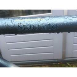 Herenfiets Batavus Straccato met 7 versnellingen
