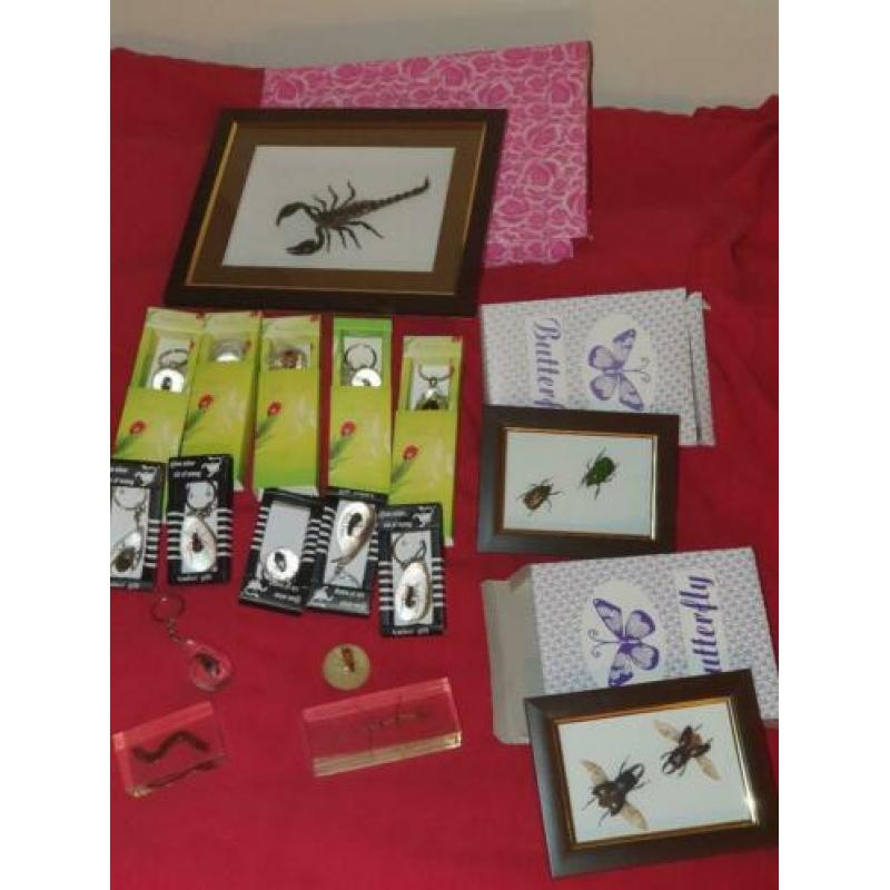 Collectie insecten o.a schorpioen,wandelende tak, kevers