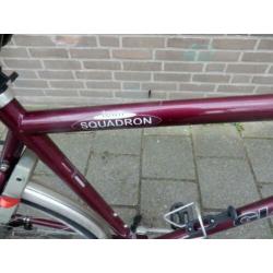 Mooie Giant Squadron 7 versnellingen rollerbrakes