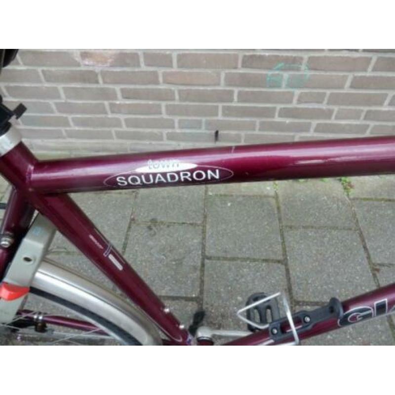 Mooie Giant Squadron 7 versnellingen rollerbrakes