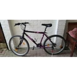 Mountainbike