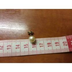 Antiek gouden parel oorbellen.