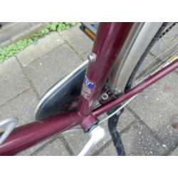 Mooie Giant Squadron 7 versnellingen rollerbrakes