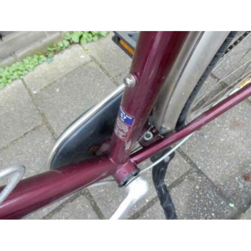 Mooie Giant Squadron 7 versnellingen rollerbrakes