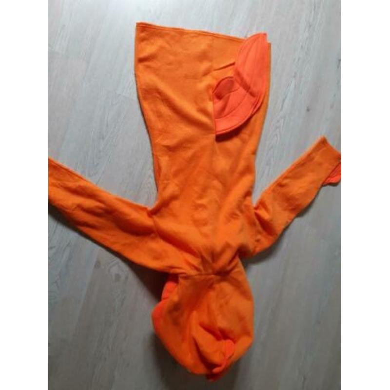 goudvis / vis oranje /zeedier / onderwaterwereld
