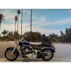 Harley-Davidson Softail FLSTF FAT BOY 96'' 1584