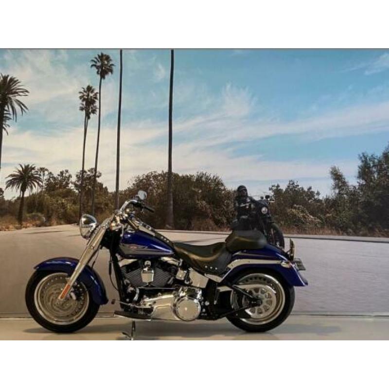 Harley-Davidson Softail FLSTF FAT BOY 96'' 1584