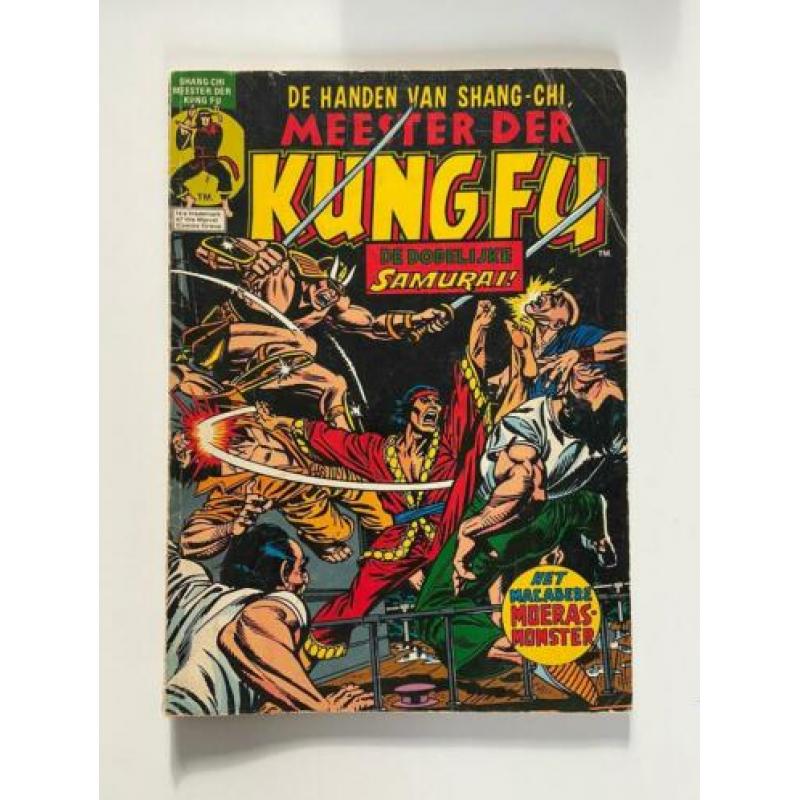 Meester der Kungfu