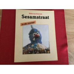 Hilde van Oostrum, Sesamstraat.....in de zomer