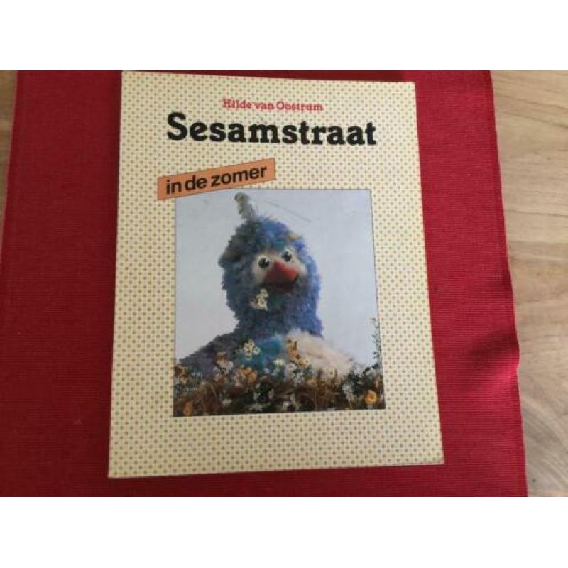 Hilde van Oostrum, Sesamstraat.....in de zomer
