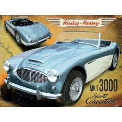 auto wandborden metaal 40*30 foto's austin healey ea
