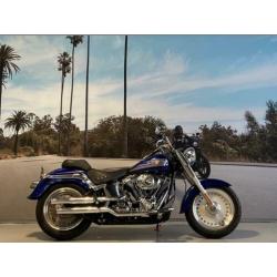 Harley-Davidson Softail FLSTF FAT BOY 96'' 1584