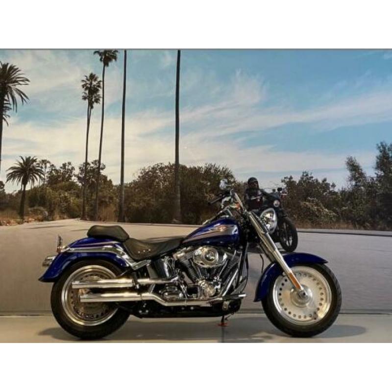 Harley-Davidson Softail FLSTF FAT BOY 96'' 1584