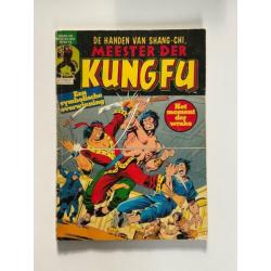 Meester der Kungfu