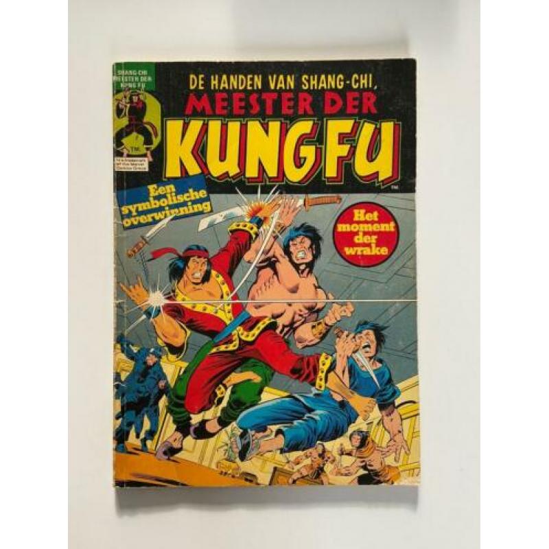 Meester der Kungfu