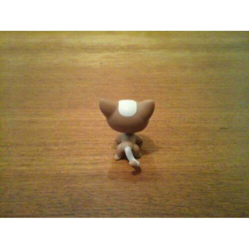 Littlest pet shop shorthair cat 3 petshop gereserveerd