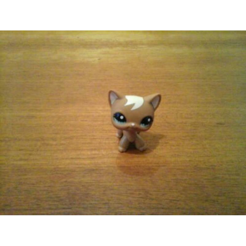 Littlest pet shop shorthair cat 3 petshop gereserveerd